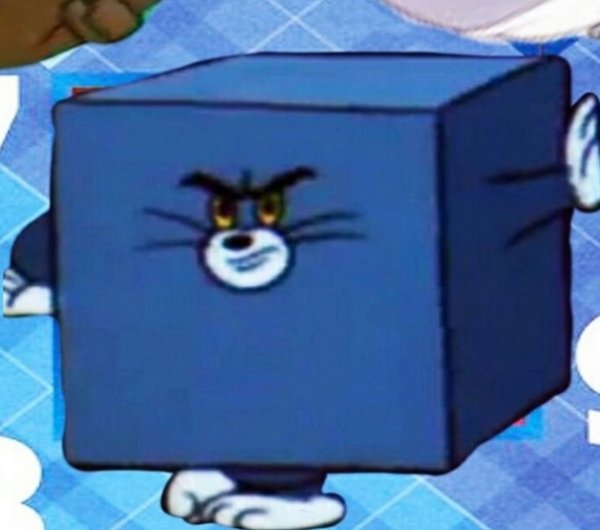 Квадратный том