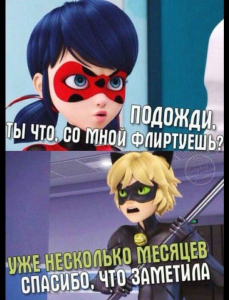 СУПЕРКОТ мемы