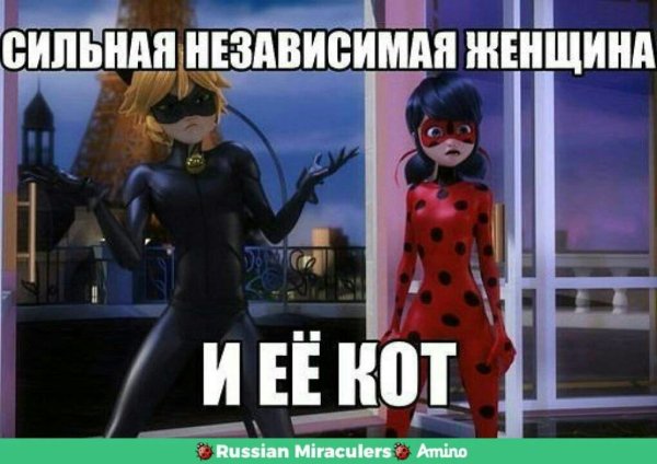 Леди баг мемы