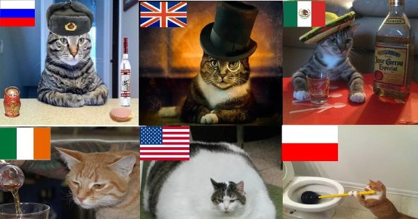 Кот Мем