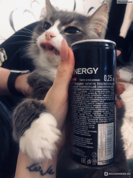 Энергетик с котиком