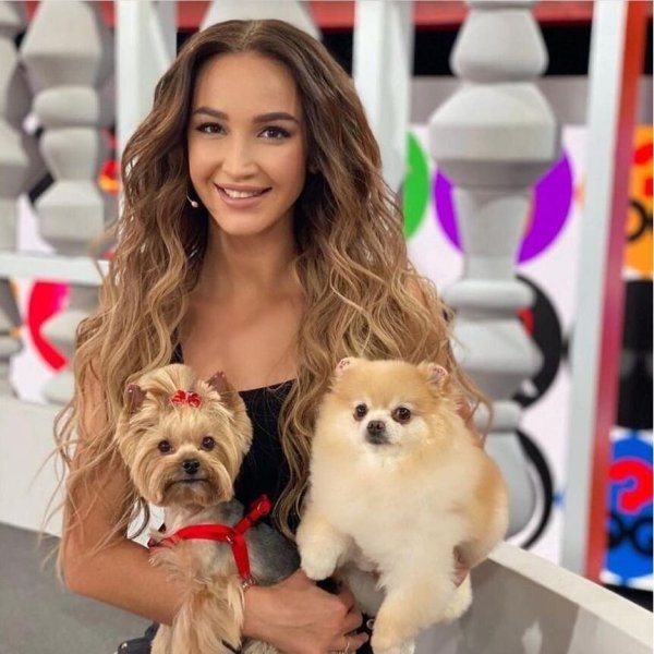 Собака Бузовой ева