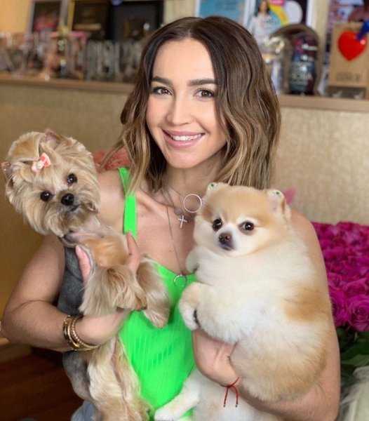 Собаки Оли Бузовой