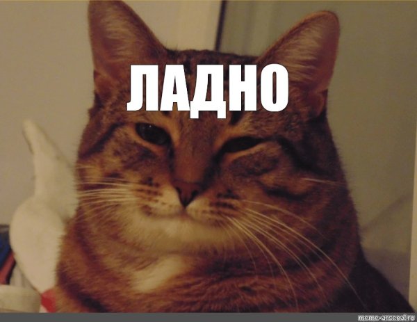 Ладно с котом
