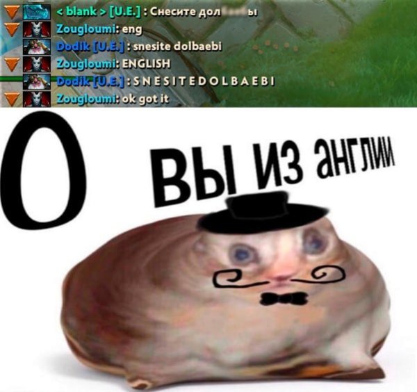 ОУ вы из Англии Мем кот