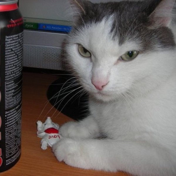 Ягуар Энергетик алкогольный