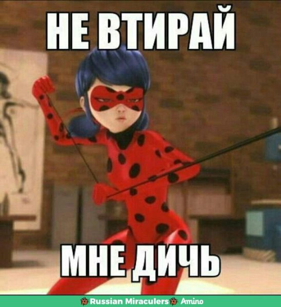 Меми ЛЕДИБАГ исуперкот