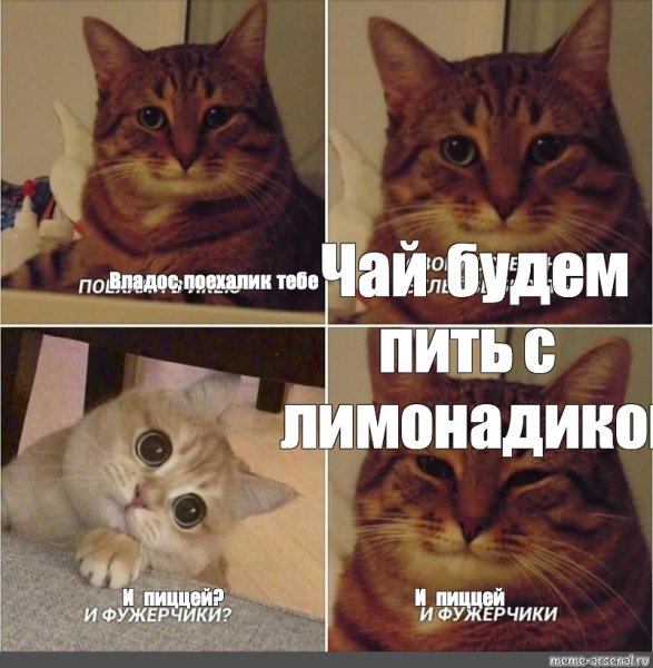 Довольный кот Мем фужерчики