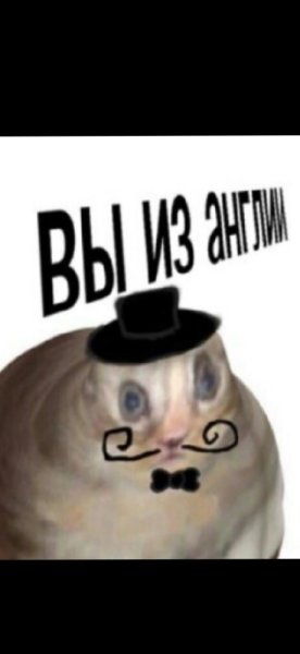 О вы из Англии Мем