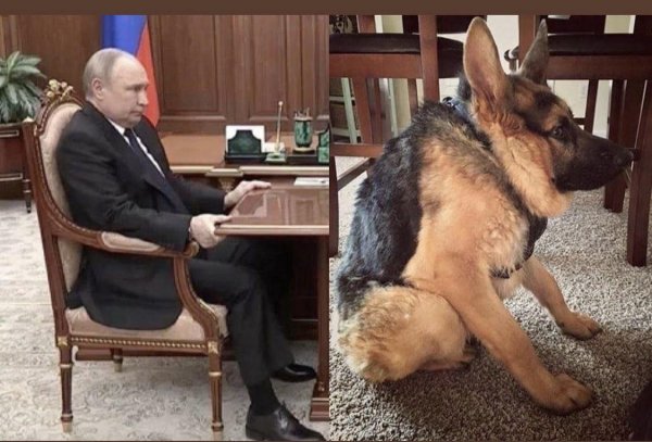 Путин сидит за столом