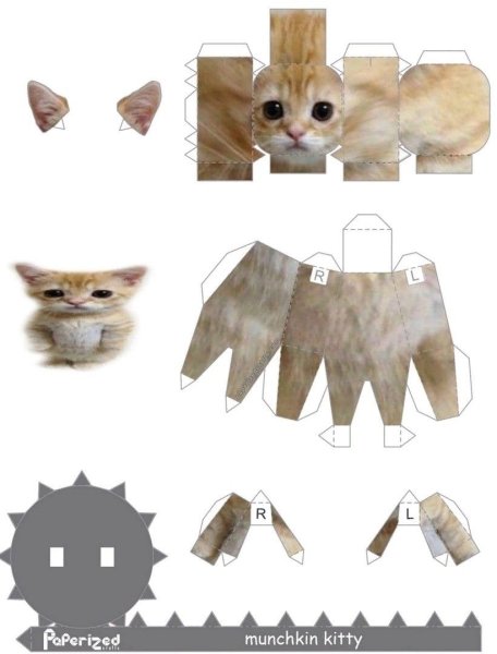Развертка кота из бумаги