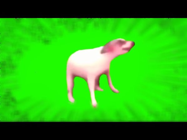 Танцующая собака на зеленом фоне