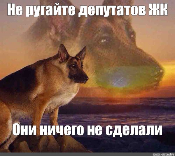 Макс собака Мем