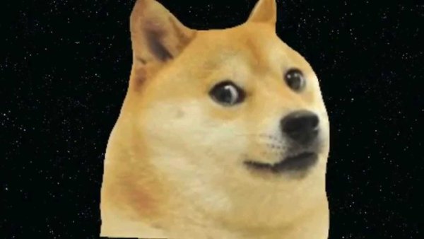 Мемы с собаками