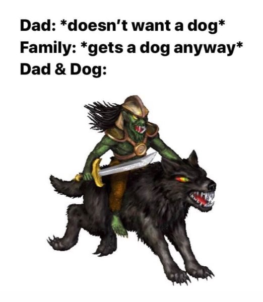 Отец не хочет заводить собаку