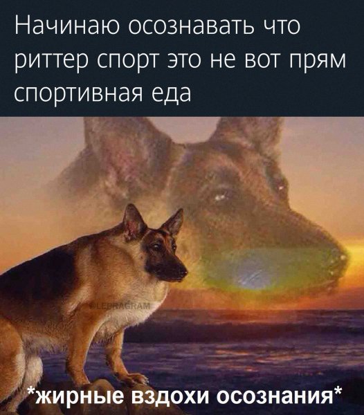 Макс иди на собака