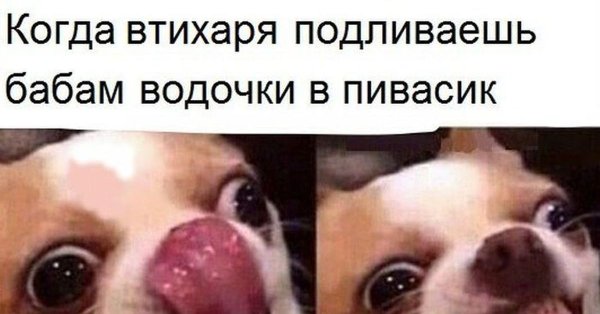 Когда втихаря подливаешь водочки в пивасик