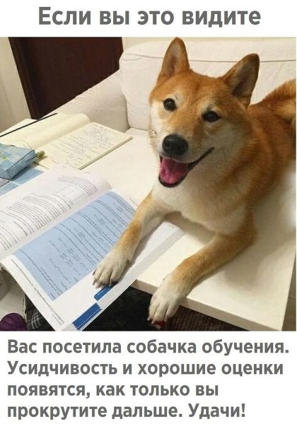 Мемы про учебу с собаками