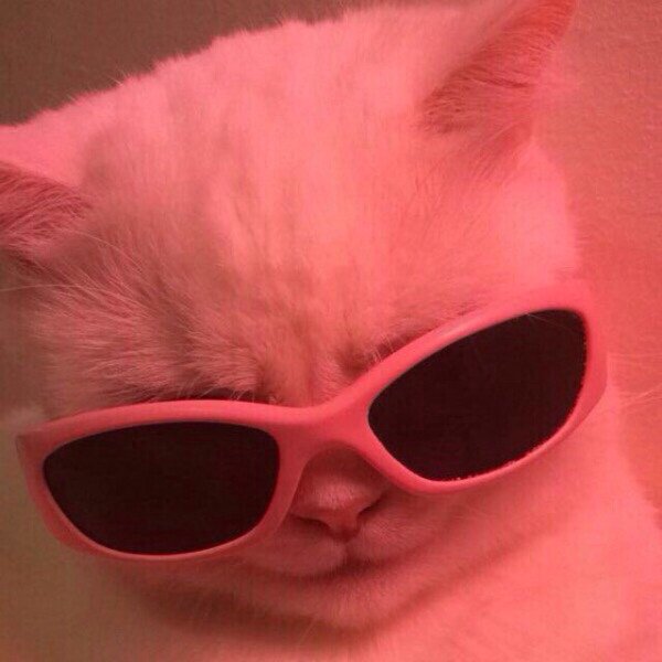 Кристина Гейер