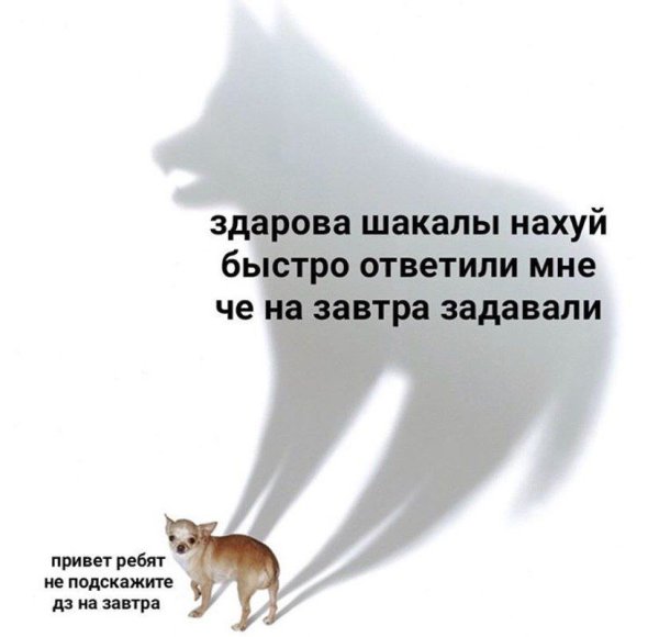 Щас я их разнесу Мем