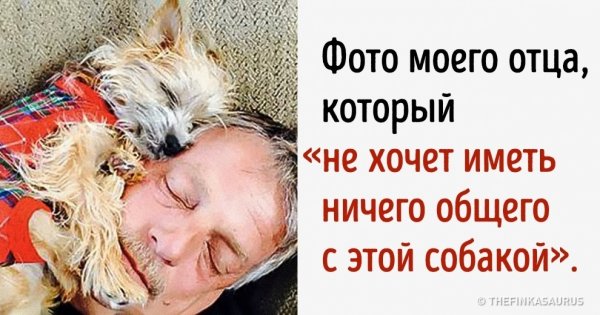 Папы, которые были против собак