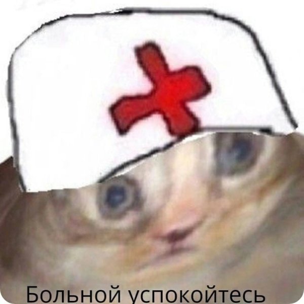 Кот санитар Мем
