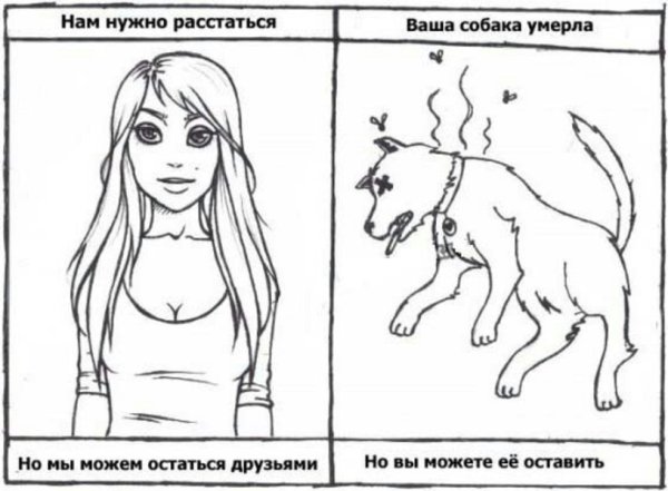 Твоя собака