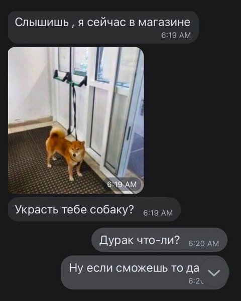 Украли собаку Мем