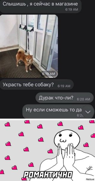 Украли собаку Мем