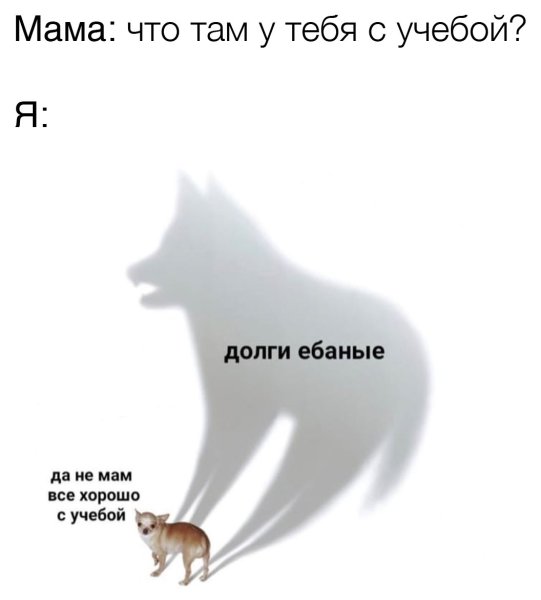 Мем маленькая собачка и тень