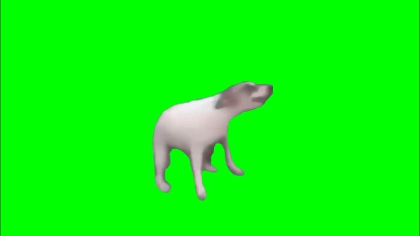 Танцующая собака