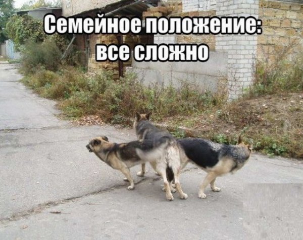 Статус все сложно