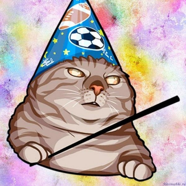 Кот вжух Мем