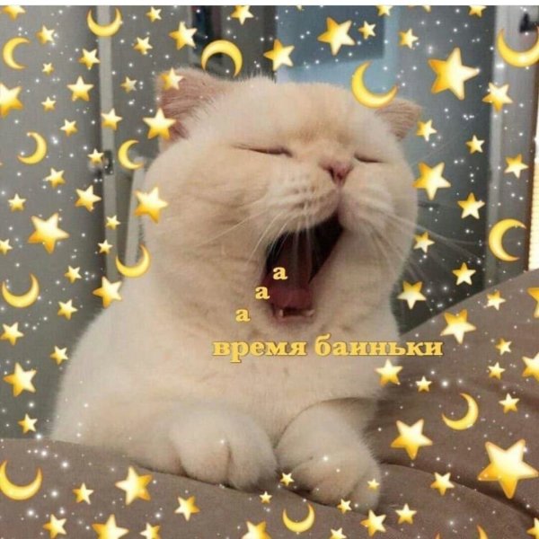 Пикчи спокойной ночи с сердечками и с котиками