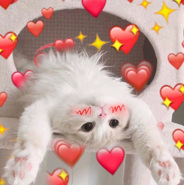 Котенок с сердечком