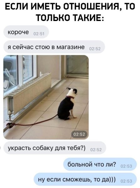 Украсть тебе собаку Мем