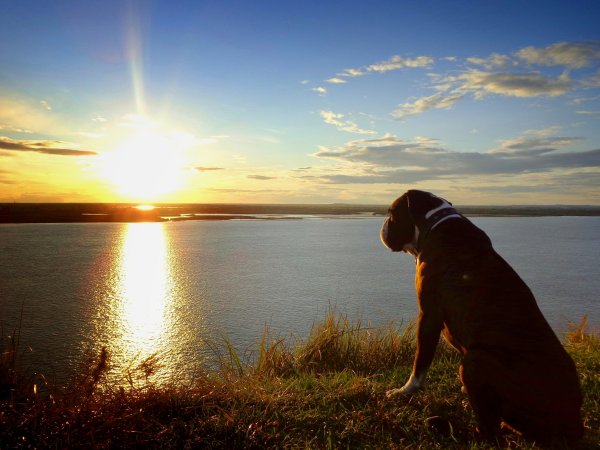 Смешной закат