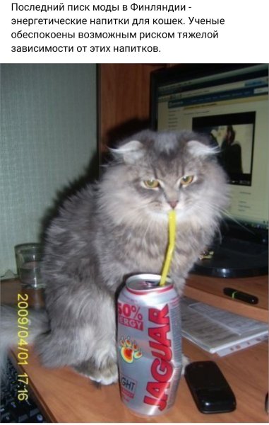 Энергетик с кошкой