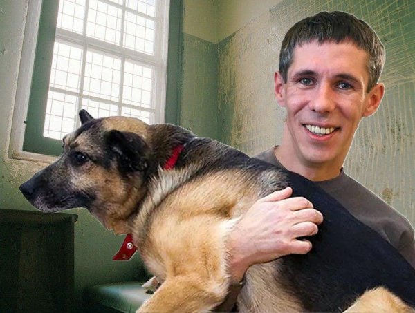 Алексей Панин с собакой