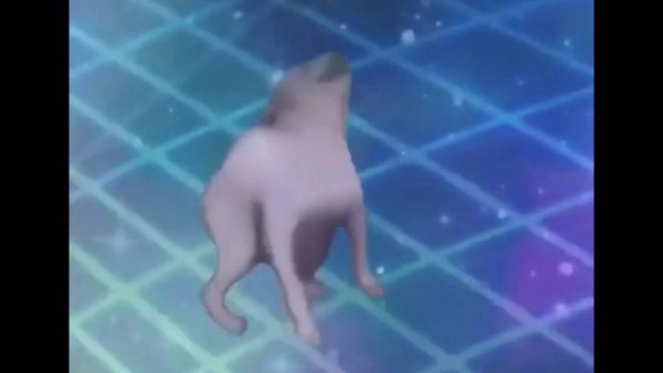 Собачка танцует