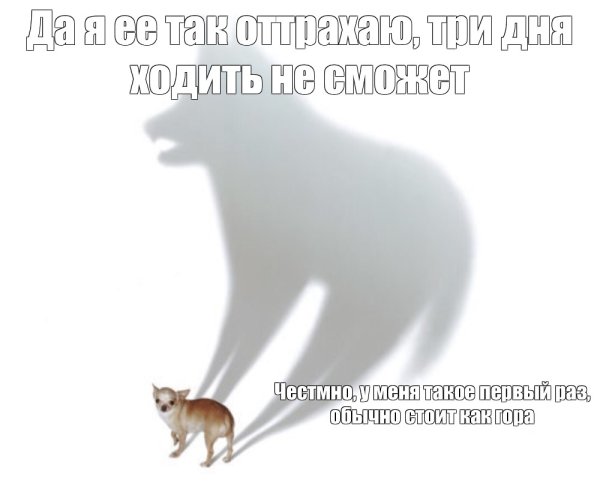 Мем с собакой и тенью