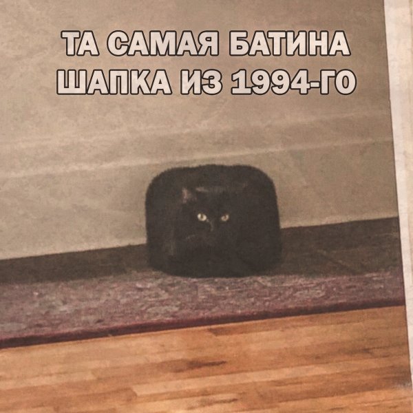 Квадратный кот