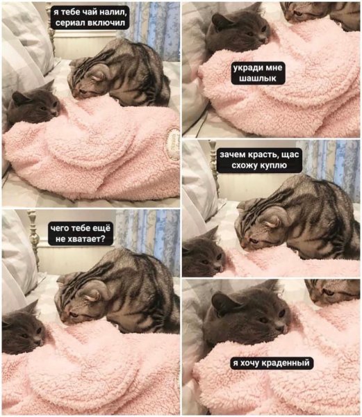 Хочу краденый шашлык