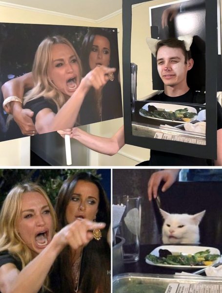 Мем с котом и двумя женщинами