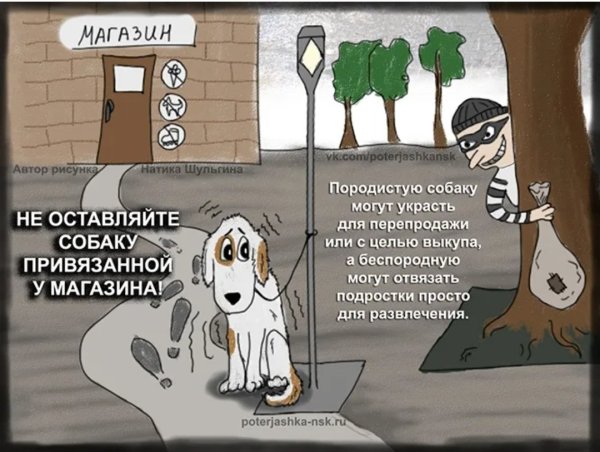 Привяжи собаку картинка