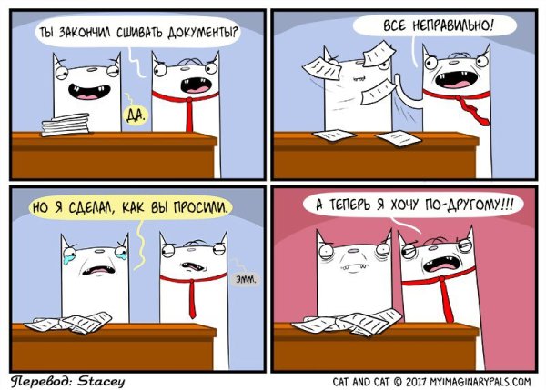 Кот из мема о вы из Англии