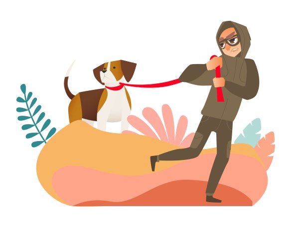 Собака ворует