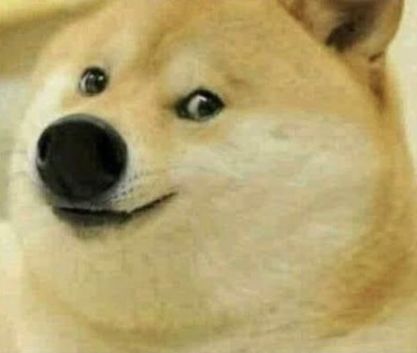 Додж собака