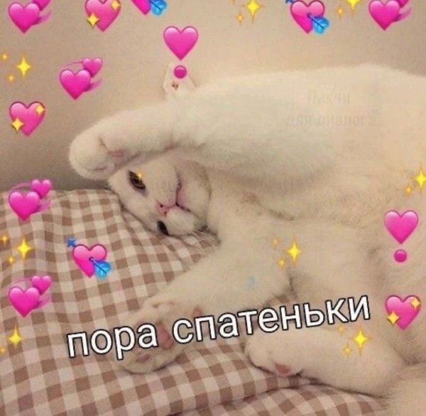 Милые пикчи с котами спокойной ночи