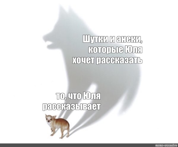 Мем с собакой и тенью